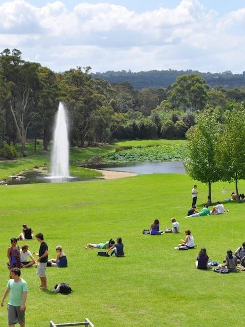 Lake Boyd auf dem Campus der Macquarie University in Sydney